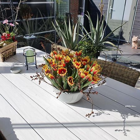 B&B Modern Times Amsterdam Zewnętrze zdjęcie