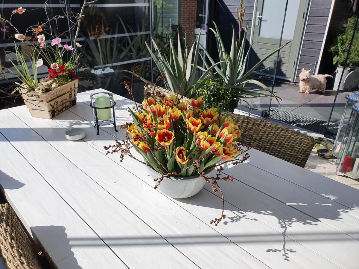 B&B Modern Times Amsterdam Zewnętrze zdjęcie